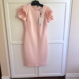 Badgley Mischka Blush Peach-Sleeve Midi Sheath Dress